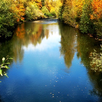 Fall Day River Reflections
